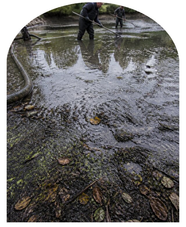 Очистка пруда в Лесосибирске от ила мусора и водорослей с вывозом
